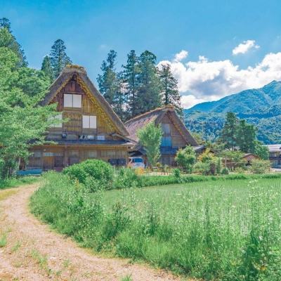 开元棋脾官方网站·官方网站