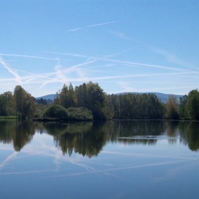 乐鱼app官网正式版下载手机app下载