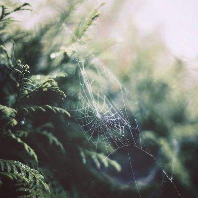 上下分的捕鱼appapp下载